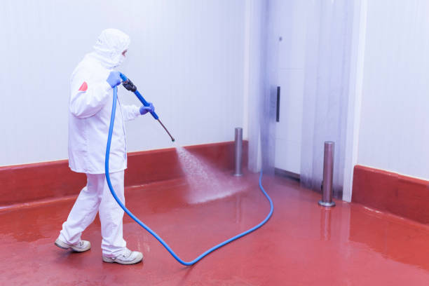 Best Roof Washing  in Bennettsville, SC