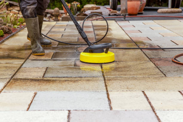 Animal Enclosure Cleaning in Bennettsville, SC